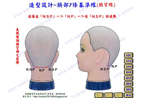 頭部七條基準線|修剪基礎：頭部點與線